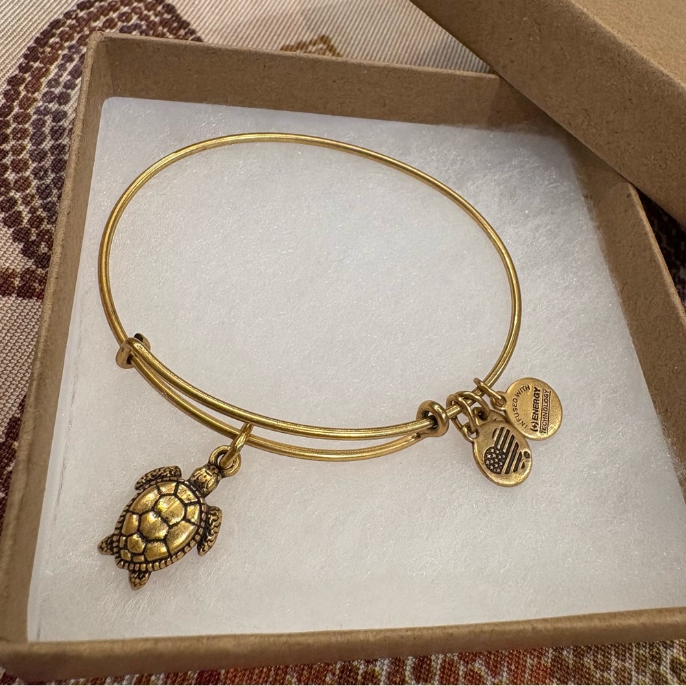 Alex and Ani Turtle Gold Charm Expandable Bracelet